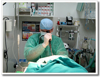 endoscopia