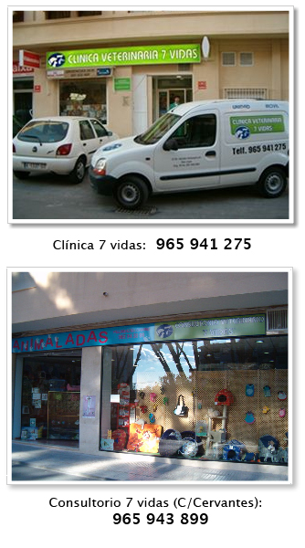 inicio inicio