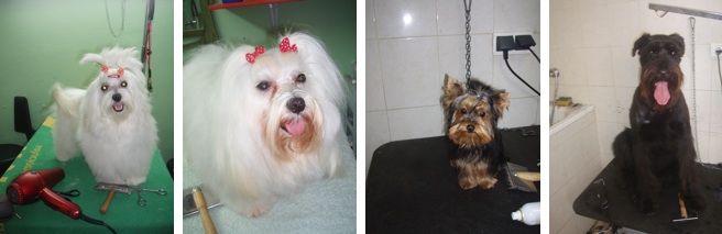 Nuestros Clientes